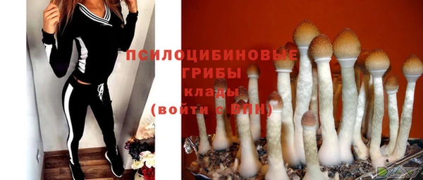 шишки Медногорск