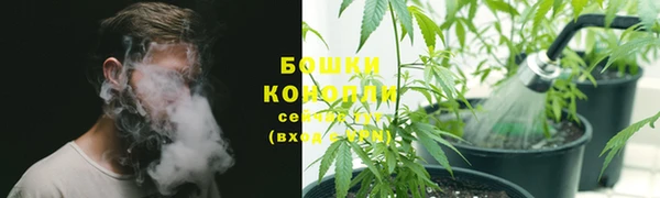 тгк Медвежьегорск