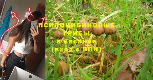 шишки Медногорск