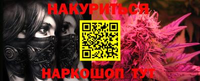 крисы Абакан