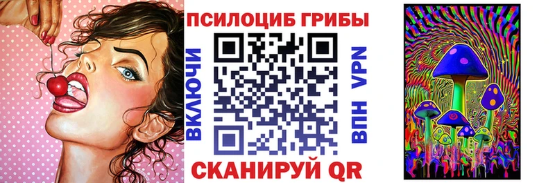 купить   площадка официальный сайт  Псилоцибиновые грибы Psilocybe  Батайск 