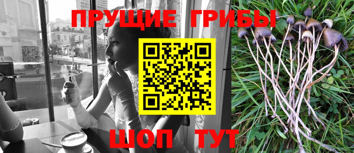Галлюциногенные грибы прущие грибы Батайск