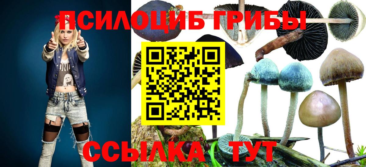 Галлюциногенные грибы Magic Shrooms  Галлюциногенные грибы прущие грибы  Батайск 