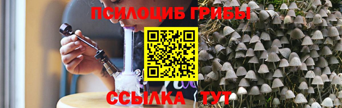 Галлюциногенные грибы GOLDEN TEACHER  Вход с VPN  купить  сайты  Псилоцибиновые грибы Cubensis  Батайск 
